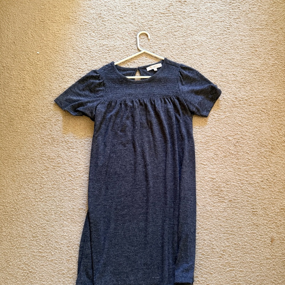 Stylish Blue  Dress